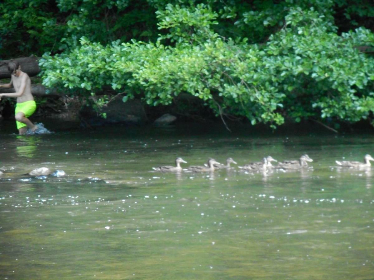 Vakantieverblijf Nature Stavelot Exteriör bild