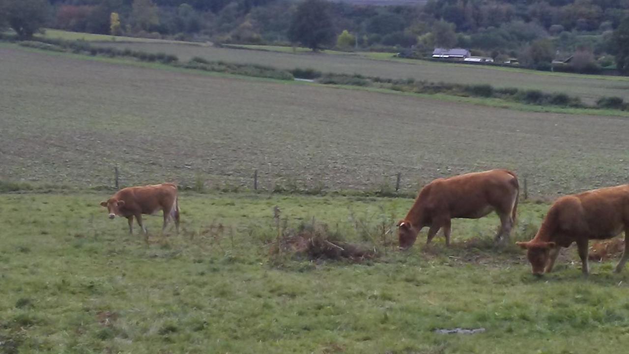 Vakantieverblijf Nature Stavelot Exteriör bild