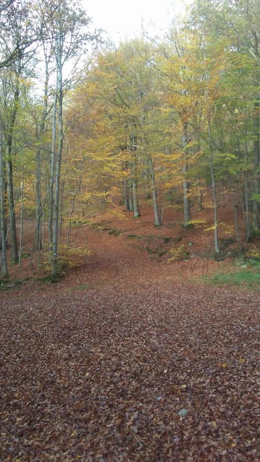 Vakantieverblijf Nature Stavelot Exteriör bild